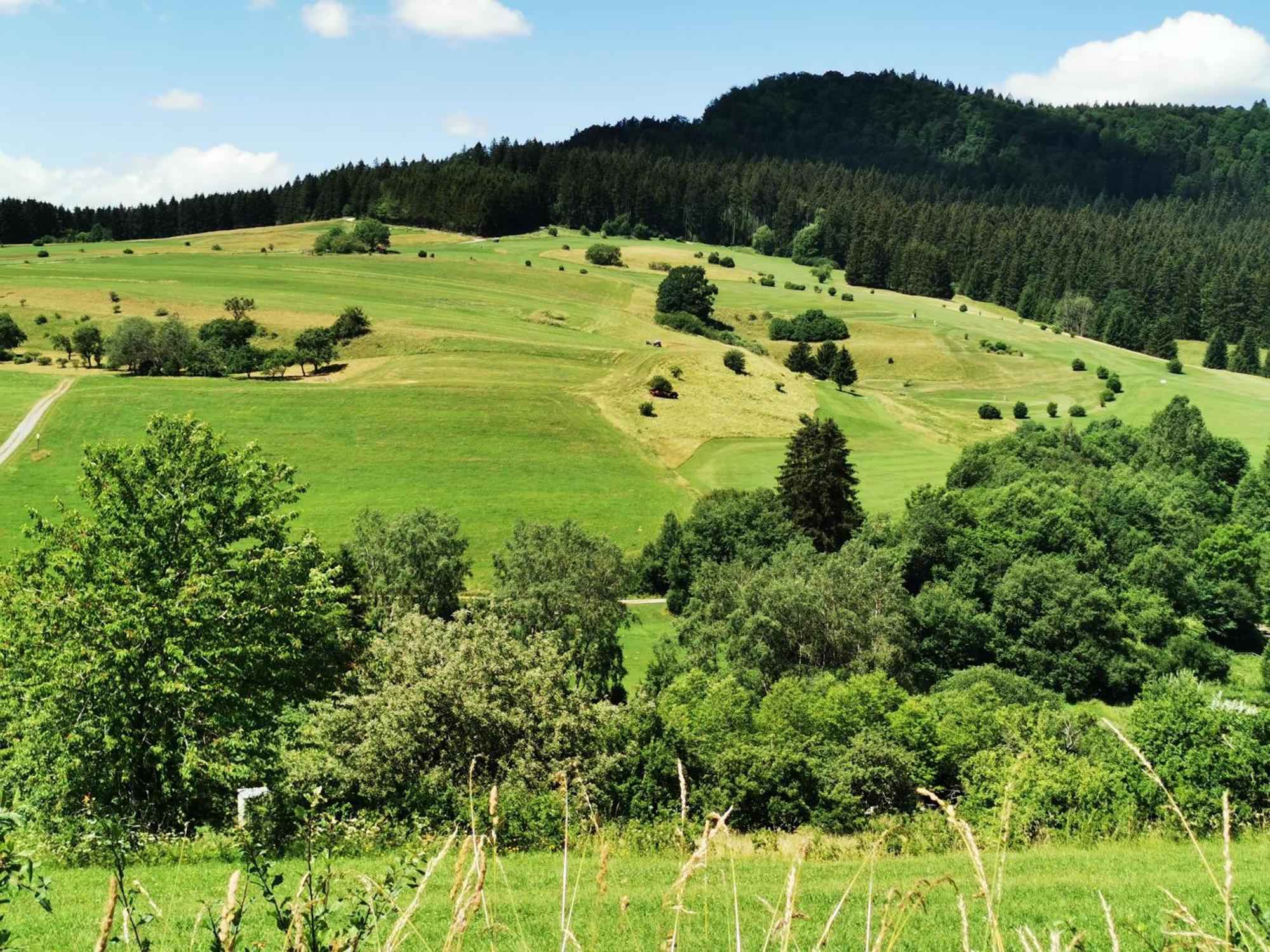 Ferienwohnung Blick Rappenstein Hausen am Tann Dış mekan fotoğraf